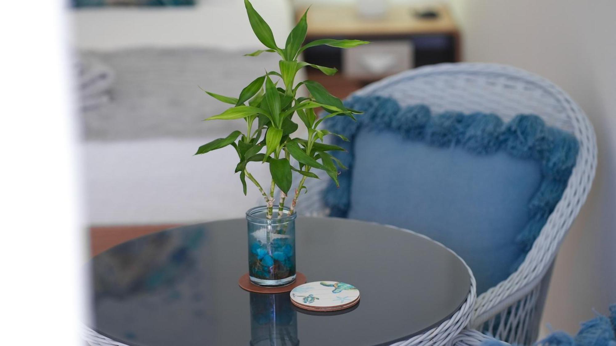 Seaturtle Apartment Клифтън Бийч Екстериор снимка